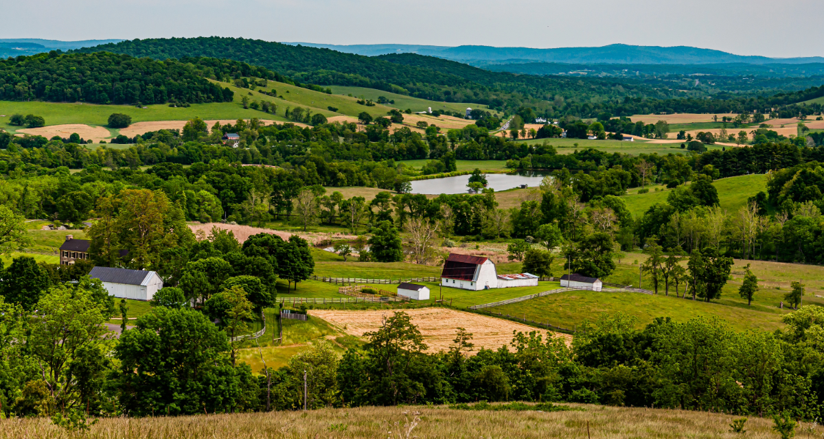 The 2026 Shenandoah Valley Real Estate Market Survey