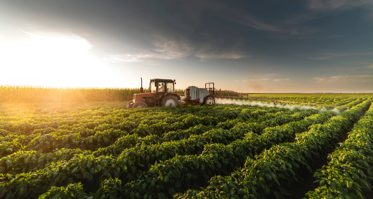 Farm and Vineyard Land in the Virginia Piedmont
